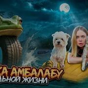 Бонека Амбалабу