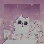 Doing Cat Speed Up