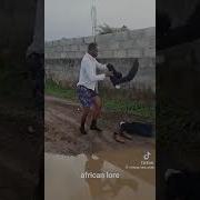 African Lore Song