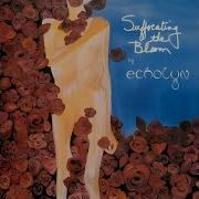 Echolyn A Suite For Everyman Bearing Down