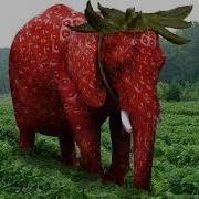 Strawberry Elephant Nextbot Evade Sound