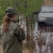Лес
