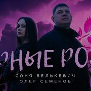 Белькевич Семёнов Чёрные Розы