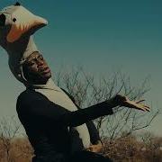 I M The Biggest Bird