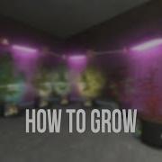 Zero S Grow Op Trailer