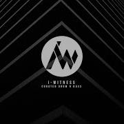 Diligent Fingers The Nightmare Free I Witness Dnb
