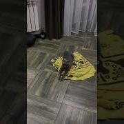 This Is My House This Is Satan He Is My Friend