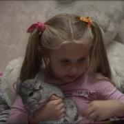 Я И Мой Питомец Шиншилла
