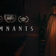 Remnants