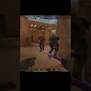 Бобик Фас Мем Shorts Sabwaysurfars
