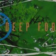 Deep Forest Full Album 1992 The First Album