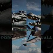 Я Хочу Чтоб Ты Сказала Tralalero Tralala