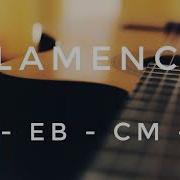 Gm 115 Bpm Flamenco Guitar Backing Track