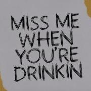 Parmalee Miss Me When You Re Drinkin