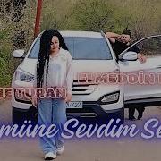 Tehmine Turan 2025