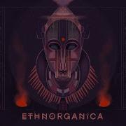 Ethnorganika Vol Ii Ethnic Deep