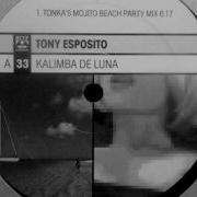 Tony Esposito Kalimba De Luna Dj Tonka Mix