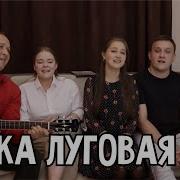 Скачать Песню Мы В Ромашковом Июле Возле Речки