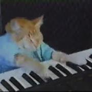 Keyboard Cat 1 Час