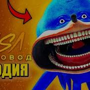 Соник Музыка