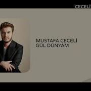 Mustafa Ceceli Gül Dünyam