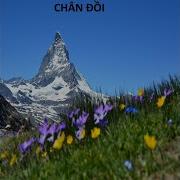 Dai Kieu Music