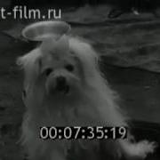 Киножурнал Новости Дня Ссср 1950 70