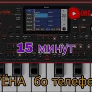 Минусхои Туёна