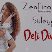 Zenfira Ibrahimova Suleyman Ibrahimov Deli Divane