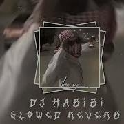 Habibi Tik Tok Slowed