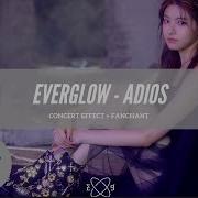 Everglow Adios Concert Effect