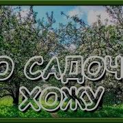 По Садочку Хожу