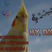 Песни Для Корелл