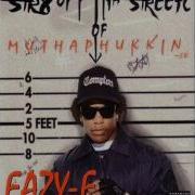 Eazy E Tha Muthafuckin Real Acapella