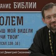 Дмитрий Сизоненко