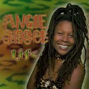 Angie Angel Life