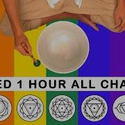 Crystals 1 Hour