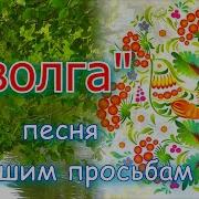 Песня Иволга Анс Калина