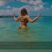 Summer Upbeat Background Music Instrumental By Ashamaluevmusic