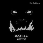 Gorilla Zippo Na Zare Live