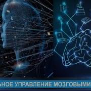 Гамма Волны От 40 До 100 Гц Бинауральные Ритмы И Изохронные Тона