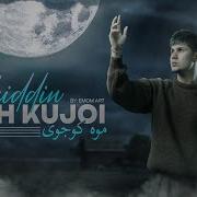 Федия Мох Кучои