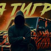 Я Тигр