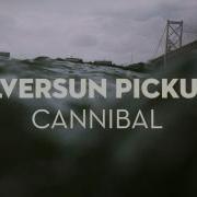 Silversun Pickups Cannibal Audio