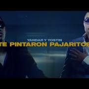 Yandar Yostin Te Pintaron Pajaritos
