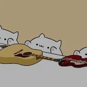 Bongo Cat Shawn Mendes Camila Cabello Senorita Cat Cover