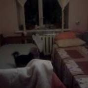 Лило И Нани Припадочная