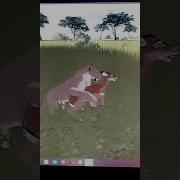 Wild Savannah Roblox Mating With My Friend