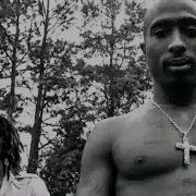 Bob Marley And 2Pac