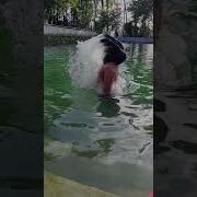 Для Бассейна Музыка